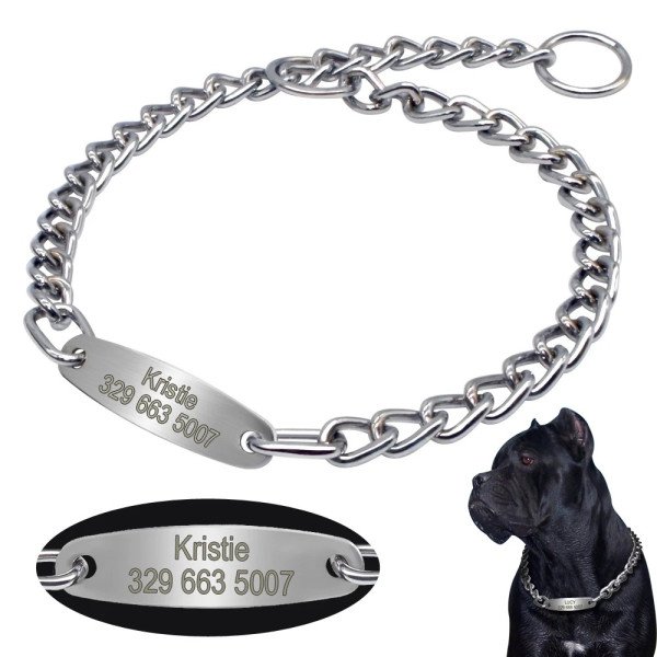 Graviertes Hundehalsband aus Edelstahl – Personalisiertes Halsband mit Namen & Nummer